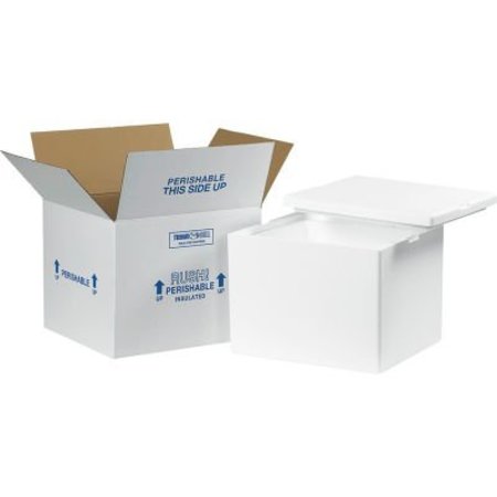 THE PACKAGING WHOLESALERS Foam Insulated Shipping Kit, 12"L x 10"W x 9"H, White 229C